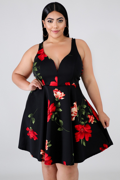 Romance Flare Dress